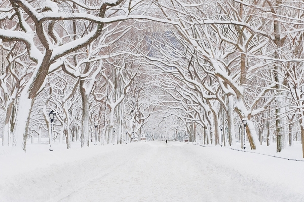 Photograph Mitchell Funk Central Park Mall Snow on One Eyeland
